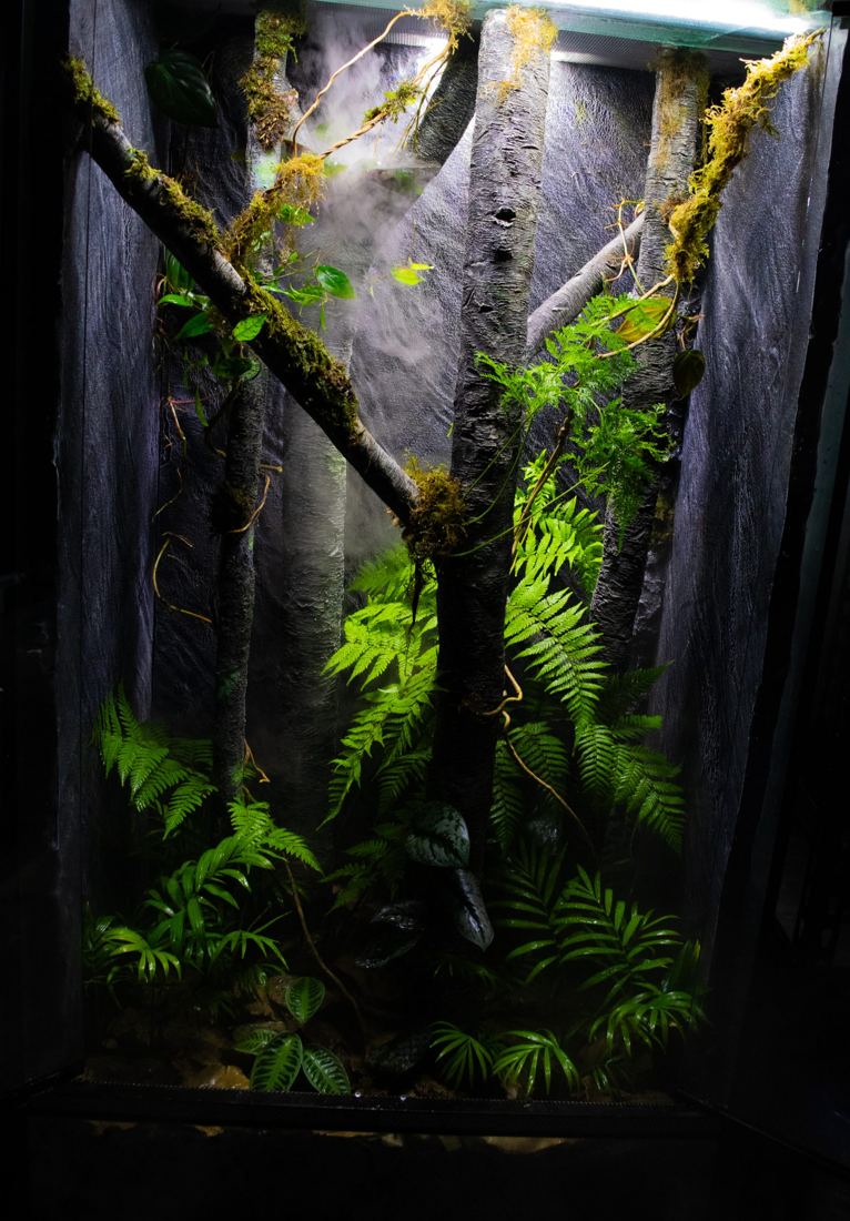 Vivario iluminado